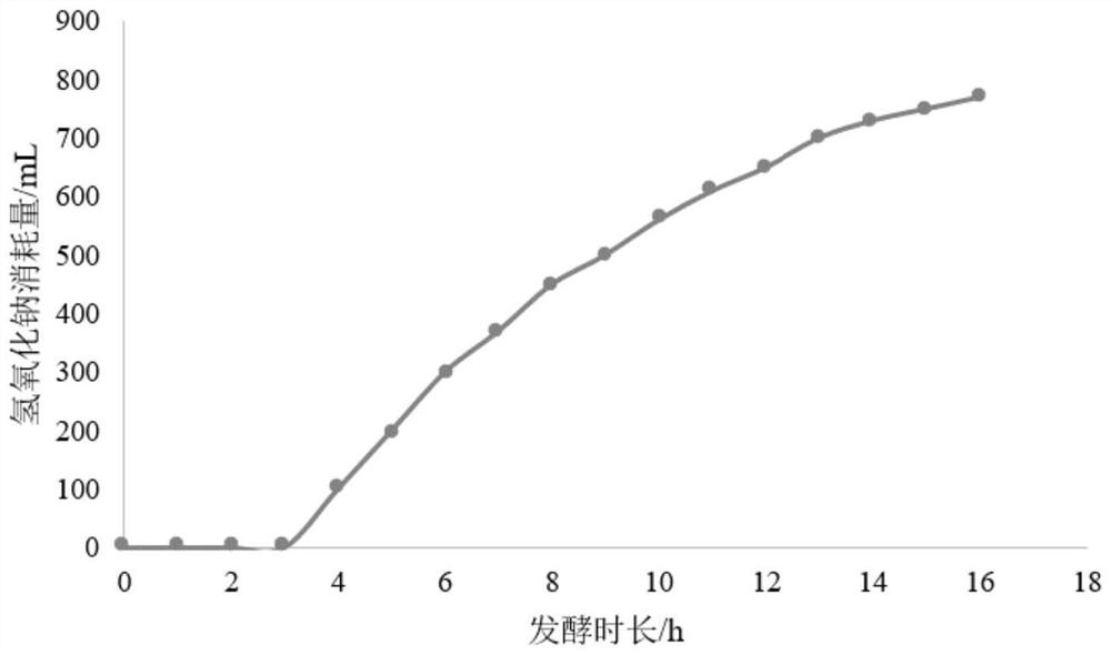 Enterococcus faecium, application thereof, composition and fermentation culture method of enterococcus faecium