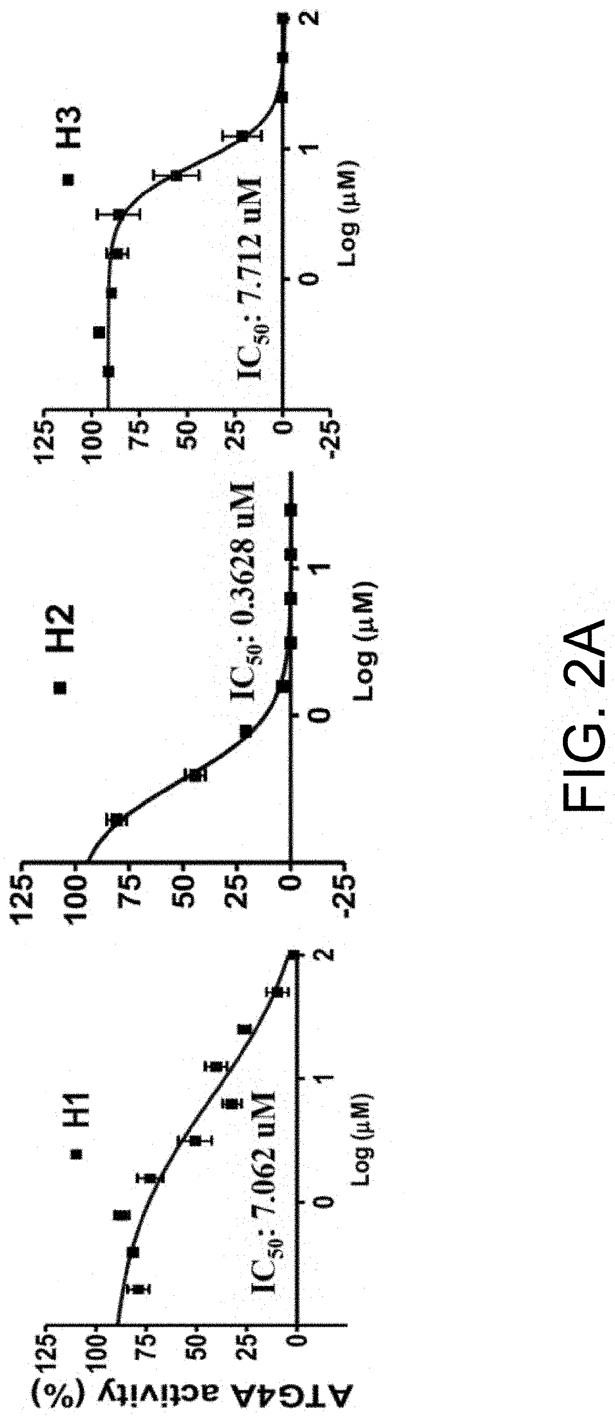 Isolated peptide, anti-cancer medicinal composition including the same and method of specifically reducing or inhibiting activities of cancer cells using the same