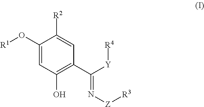 Hydrazonamide Compounds That Modulate Hsp90 Activity