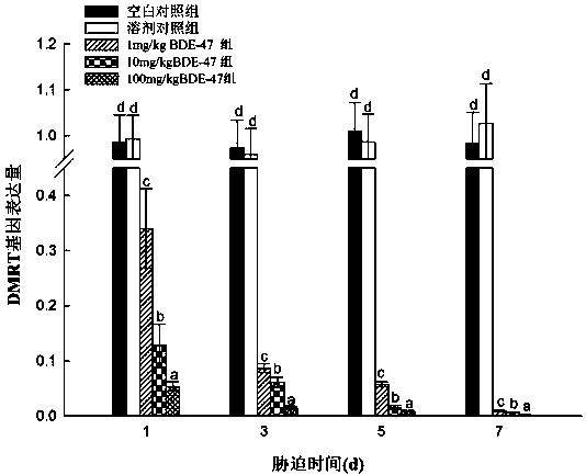 A method for detection of PBDEs in the ocean using the DMRT gene of the four-cornered clam