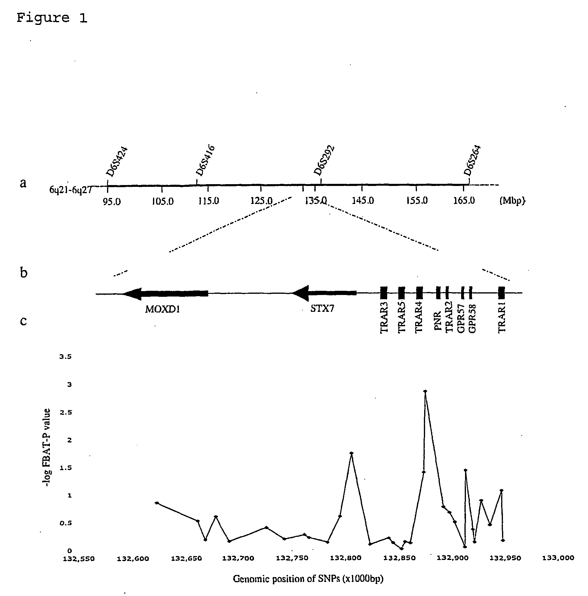 Schizophrenia, Schizoaffective Disorder and Bipolar Disorder Susceptibility Gene Mutation and Applications to Their Diagnosis and Treatment