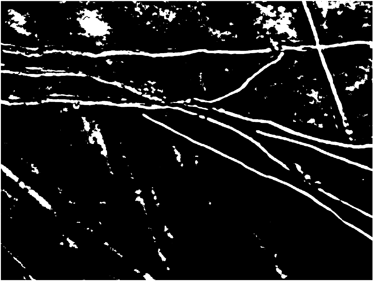 Method for protection of pleurotus eryngii strain by using uracil auxotrophy