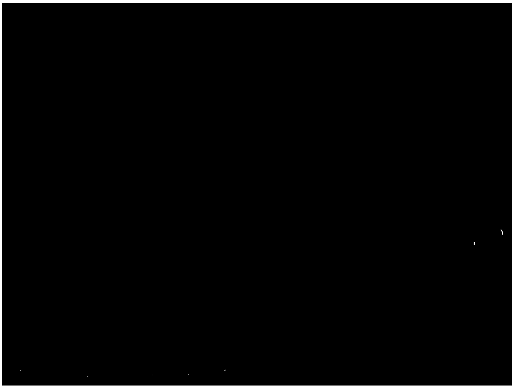 Method of preparing carbon-doped metal oxide nanoparticles