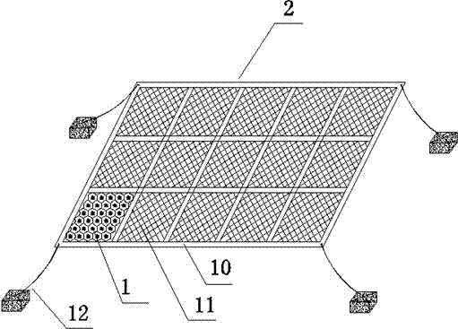 Novel submerged dike crest structure combining flexible plant wave dissipation