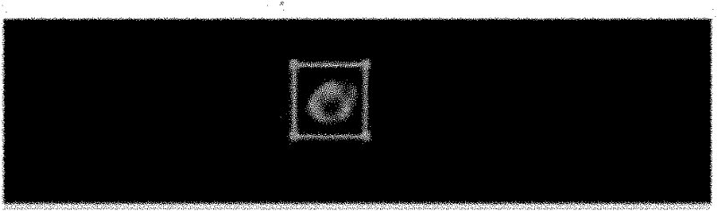 Method for separating enriched target cells from tissues