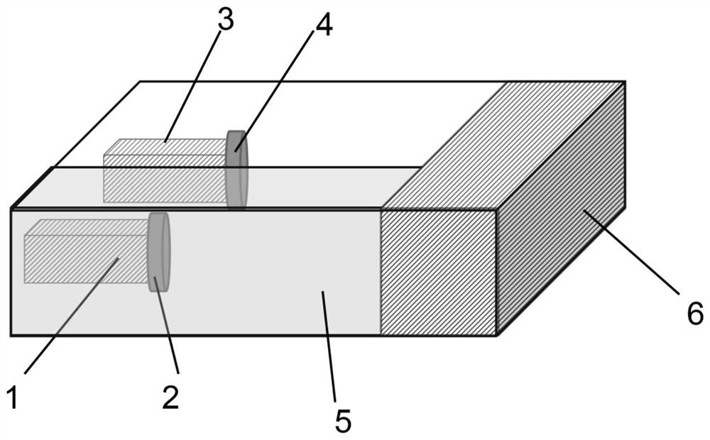 Real-time detection instrument and method for shield tunneling machine unearthing density