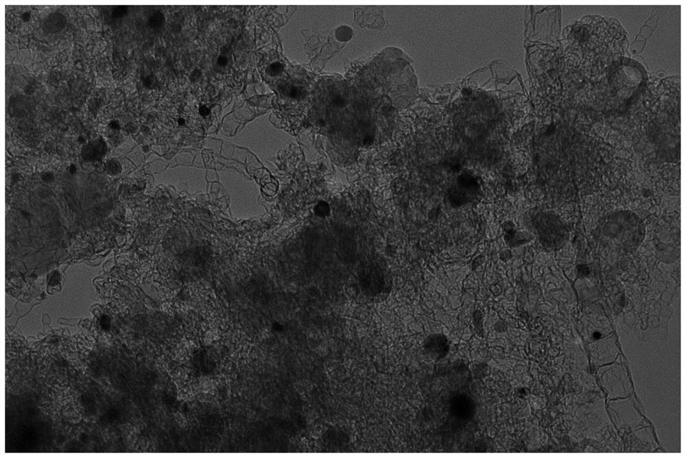 Preparation of metal-coated sulfonated nitrogen-doped carbon nanotube magnetic solid acid catalyst and application of metal-coated sulfonated nitrogen-doped carbon nanotube magnetic solid acid catalyst in synthesis of diphenolic acid