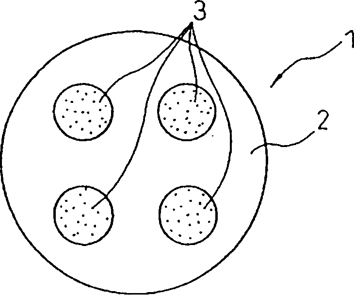 Seed bed and its making process and seeding method