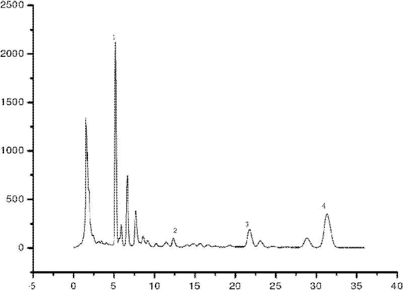 Microbial fermentation method for improving active ingredients of schisandra chinensis