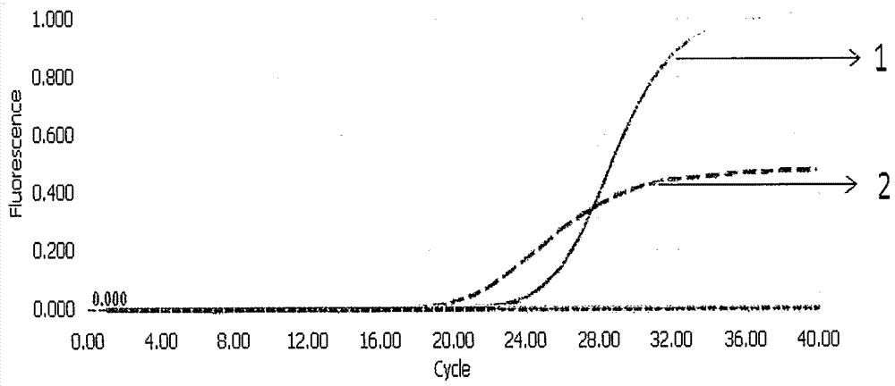 Method for rapid detection of components of Iphigenia indica and Fritillaria maximowiczii