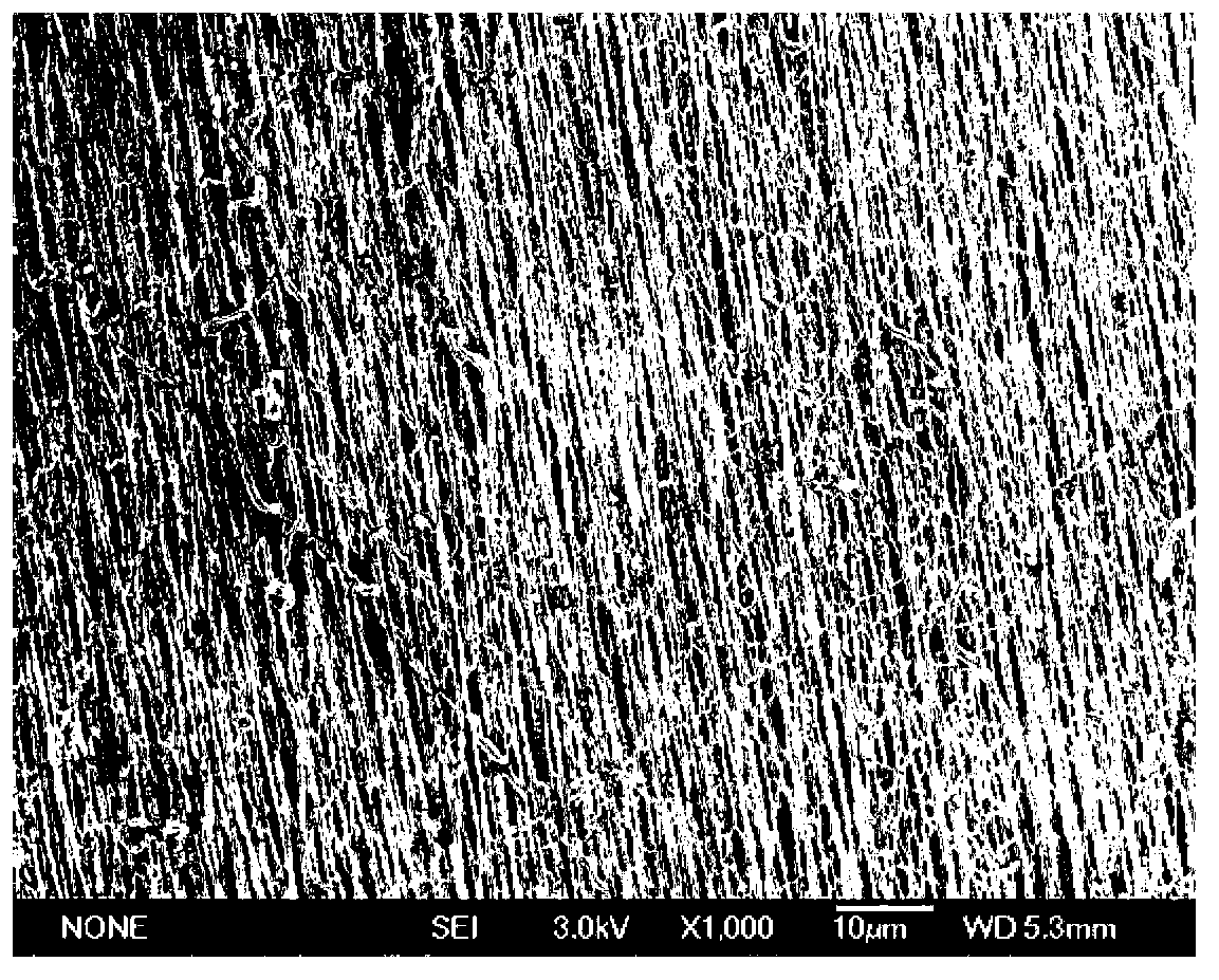 Method for preparing electrospun artificial blood vessel with micro-nano biomimic intima structure