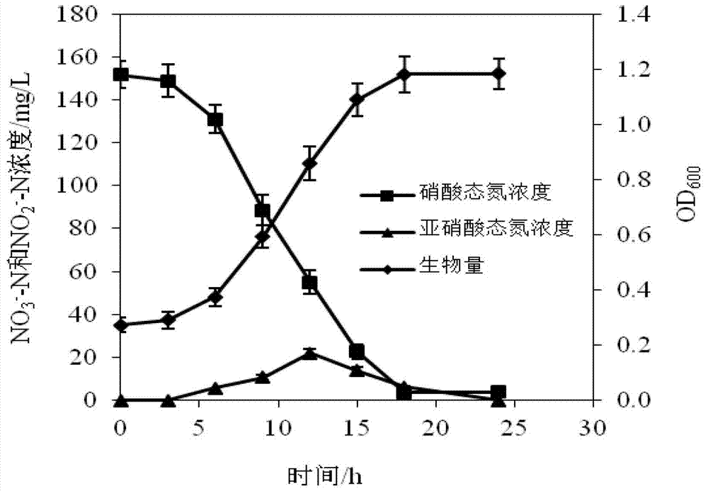 Heterotrophic nitrification-aerobic denitrification arthrobacterium and application thereof