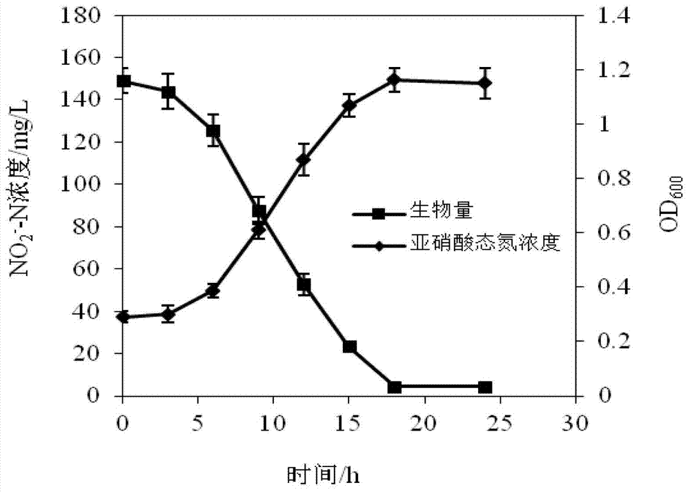 Heterotrophic nitrification-aerobic denitrification arthrobacterium and application thereof