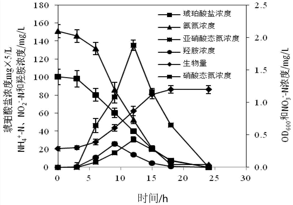 Heterotrophic nitrification-aerobic denitrification arthrobacterium and application thereof