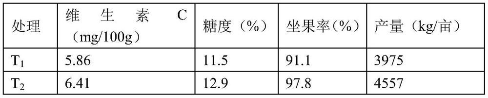 Ensifer adhesion and application thereof in preparation of microbial fertilizer