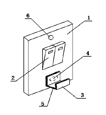 Switch with key ring