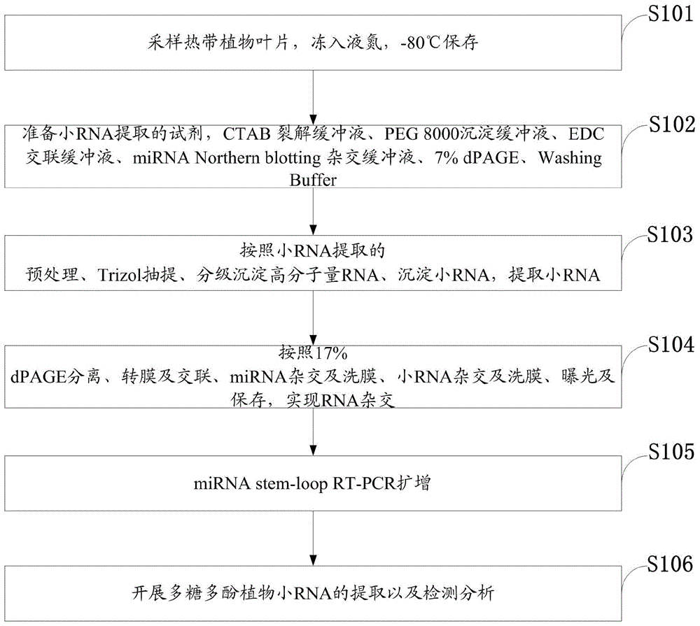 A kind of tropical plant polysaccharide polyphenol small RNA extraction method