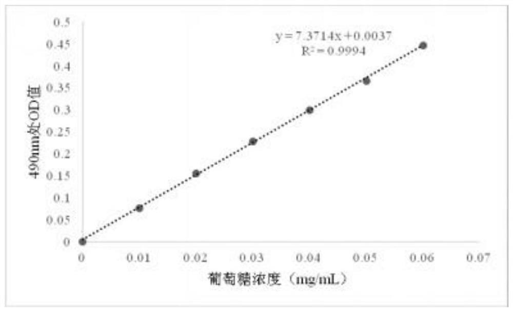 Extraction method and application of Boletus laetissimus Hongo crude polysaccharide