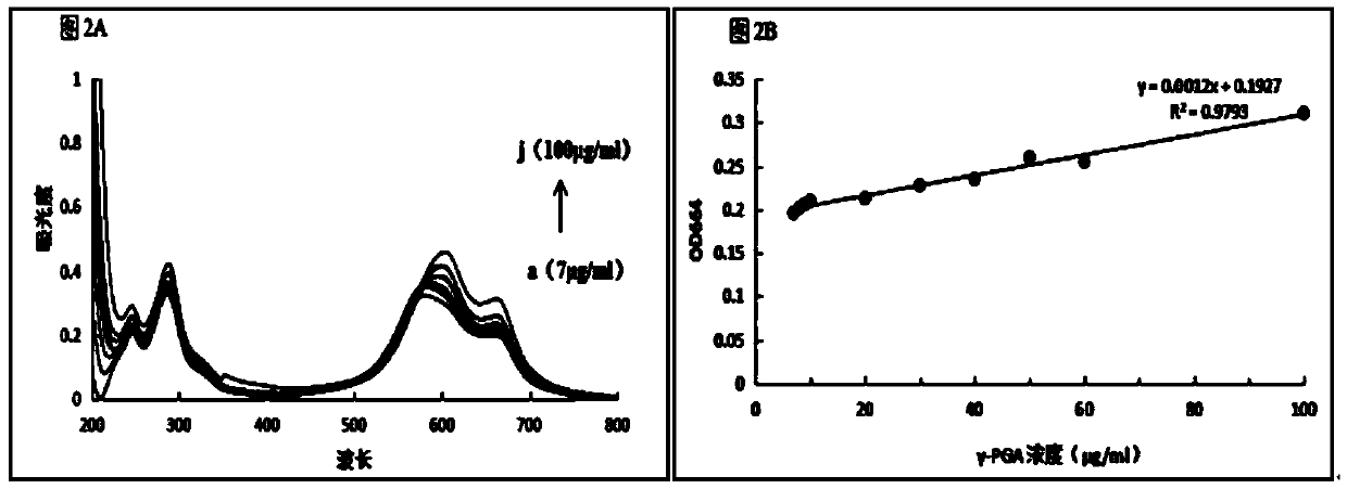 Methylene blue colorimetric method for determining concentration of gamma-PGA in solution