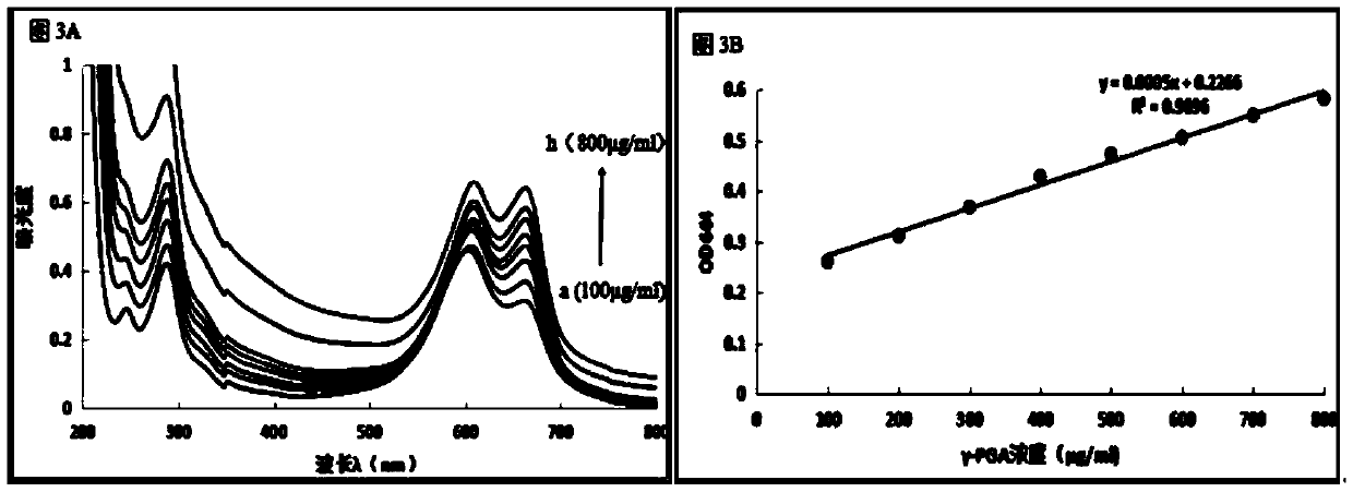 Methylene blue colorimetric method for determining concentration of gamma-PGA in solution