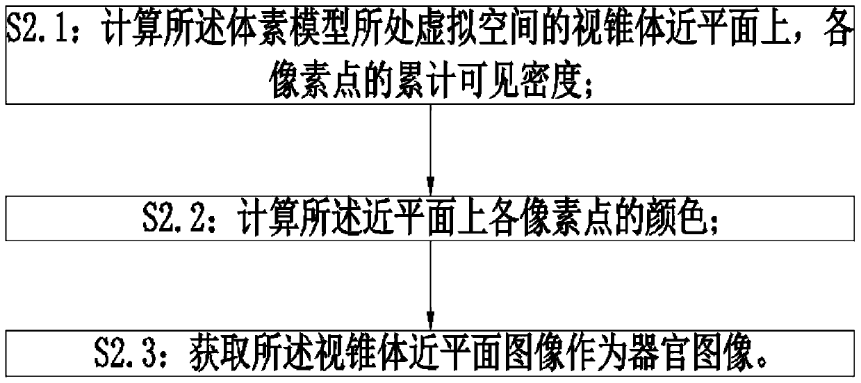 Organ image constructing method and system based on voxel model