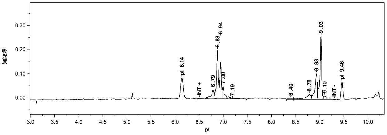 Capillary Isoelectric Focusing Method for Rapid Determination of Components in Protein Mixtures