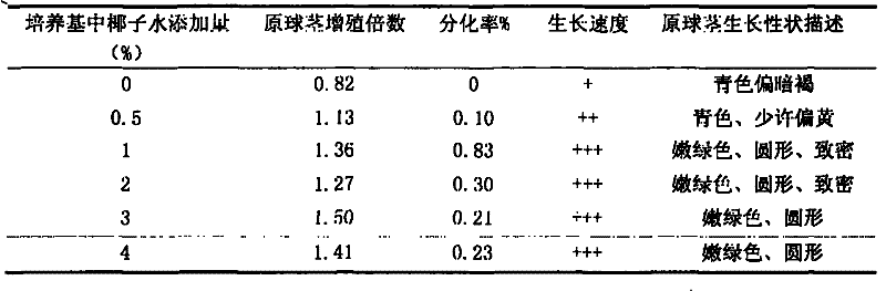 Method for improving oncidium protocorm proliferation and differentiation by using concentrated coconut water