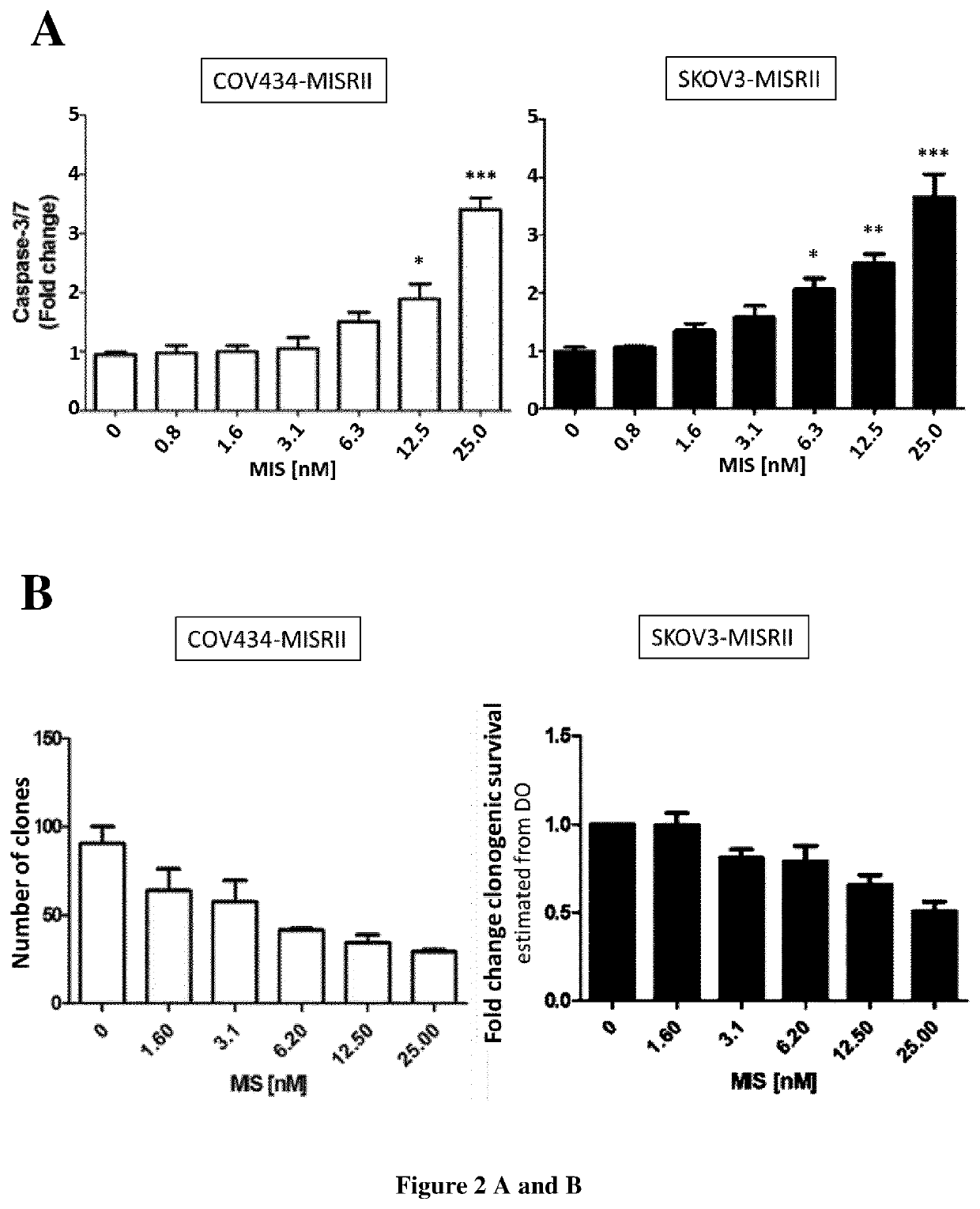 Anti-müllerian inhibiting substance antibodies and uses thereof