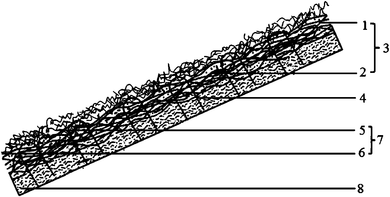 Desert sand-fixation greening device and desert sand-fixation greening method