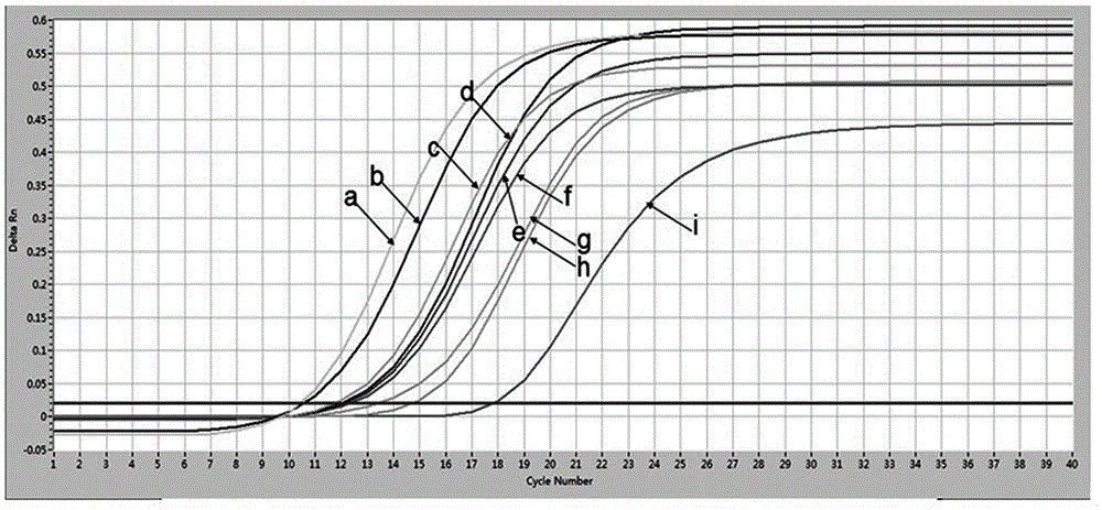 Specific primer and probe for real-time fluorescent PCR detection of enterococcus faecalis