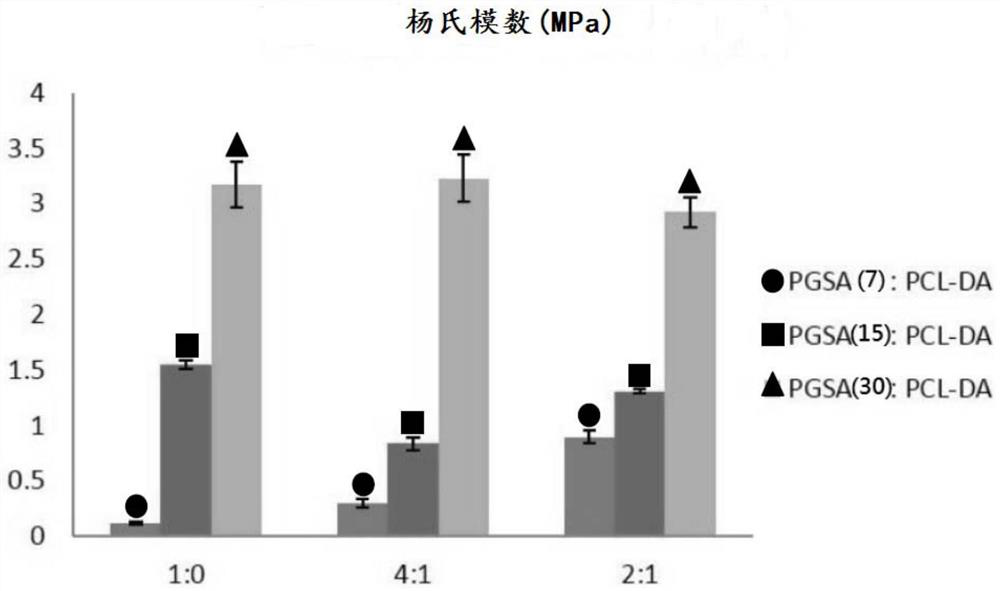 Biodegradable photopolymerizable polymer composites and their applications