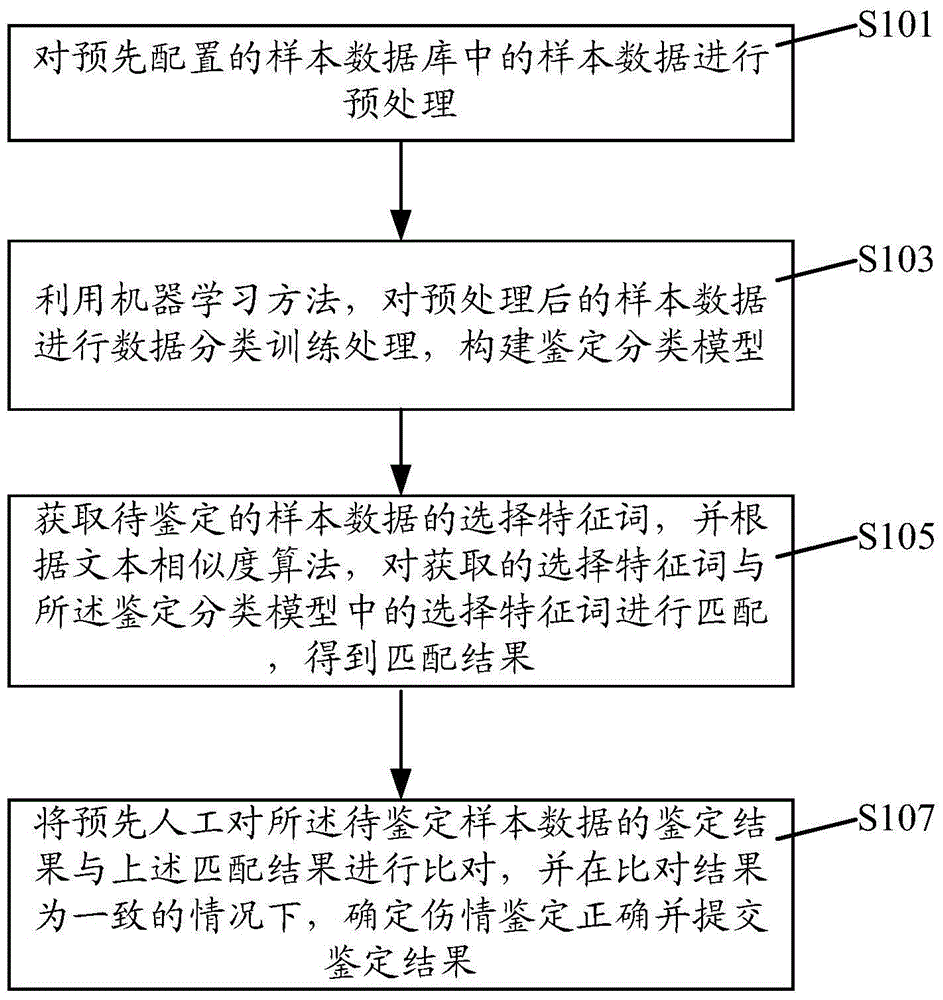 Legal medical expert injury identification management method and system