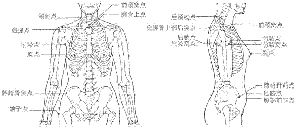 A tights design method based on human body surface pressure and slow pressure tights