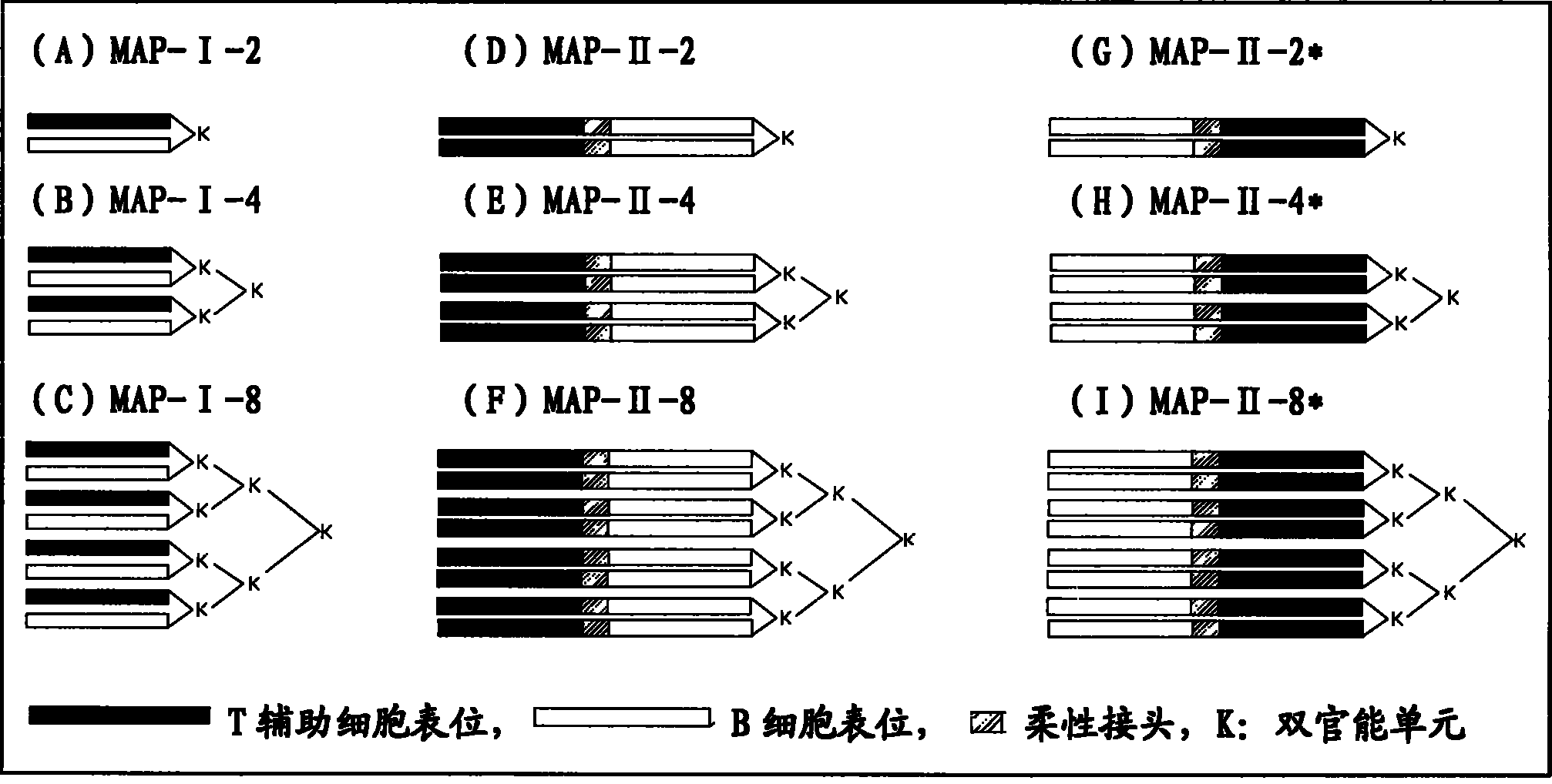 B cell epitope of epididymal protease inhibitor and multiple antigenic peptide containing thereof