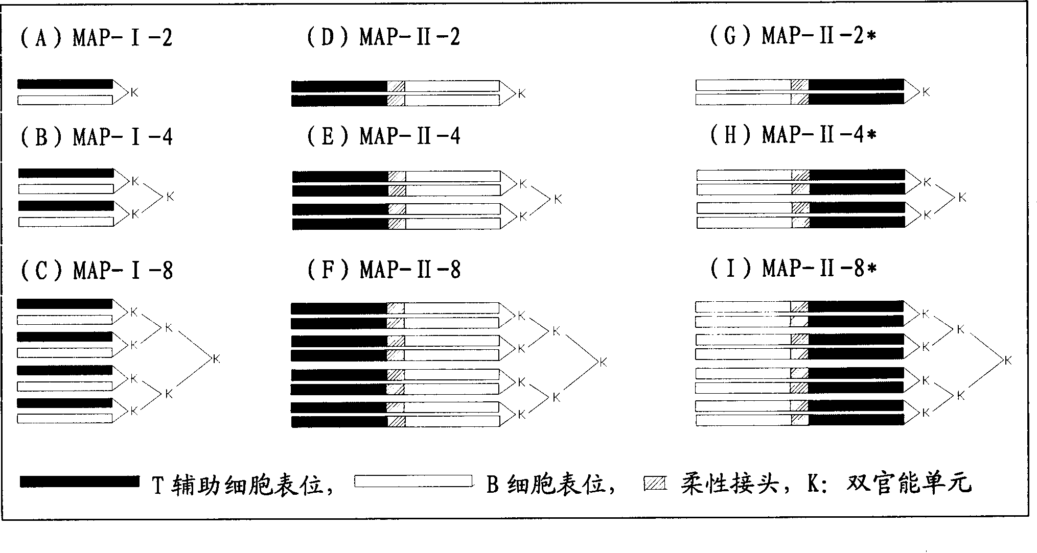 B cell epitope of epididymal protease inhibitor and multiple antigenic peptide containing thereof