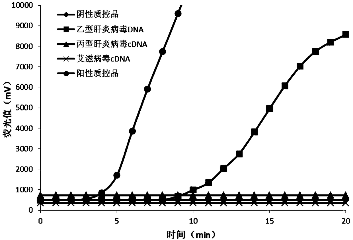 Primer probe and kit for detecting hepatitis B virus based on RAA fluorescence method