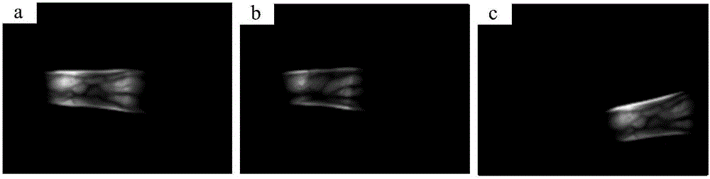 Finger vein recognition method