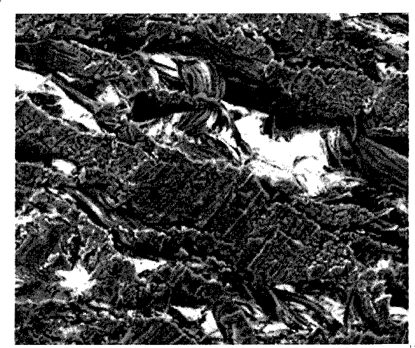 Method for implementing leather fibre areosis and expansion by using supercritical carbonic anhydride