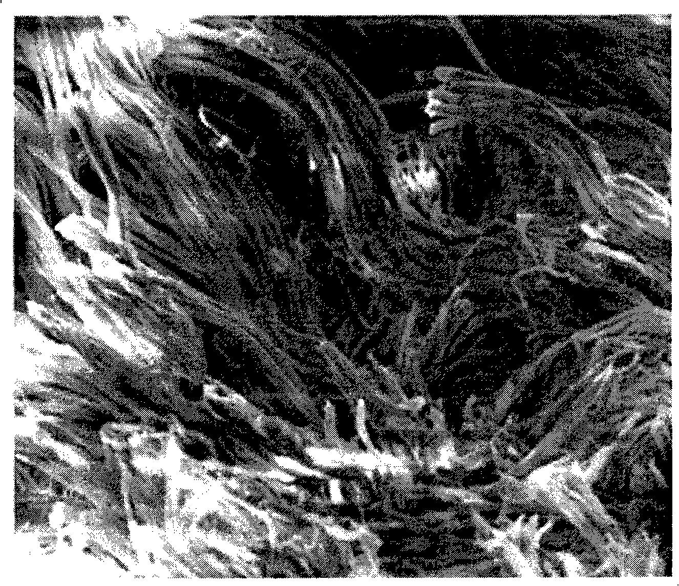 Method for implementing leather fibre areosis and expansion by using supercritical carbonic anhydride