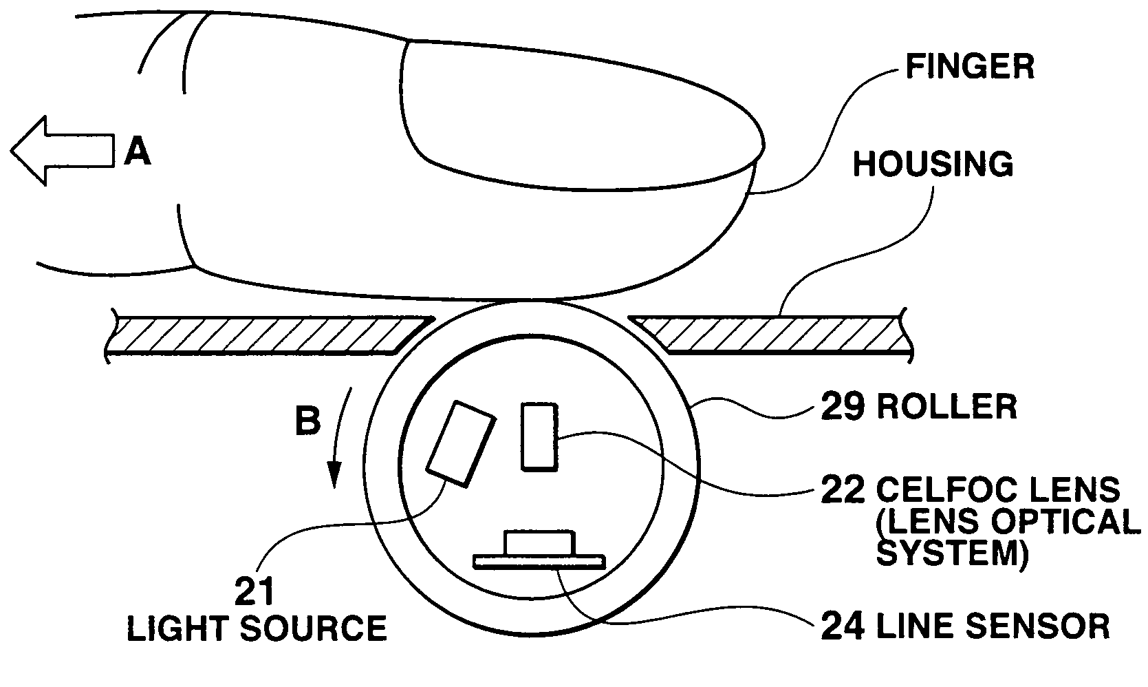 Fingerprint image reading apparatus