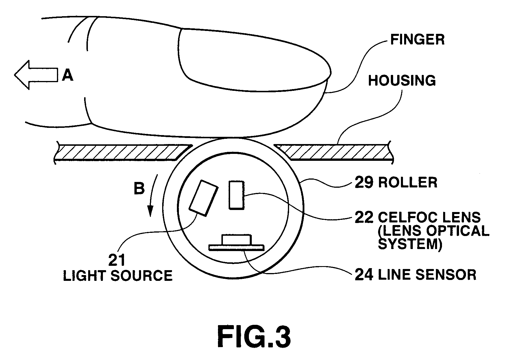 Fingerprint image reading apparatus