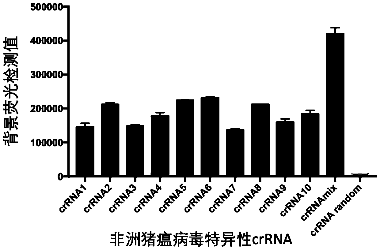 Cpf1 reagent kit and detection method for quickly detecting nucleic acid of African swine fever virus