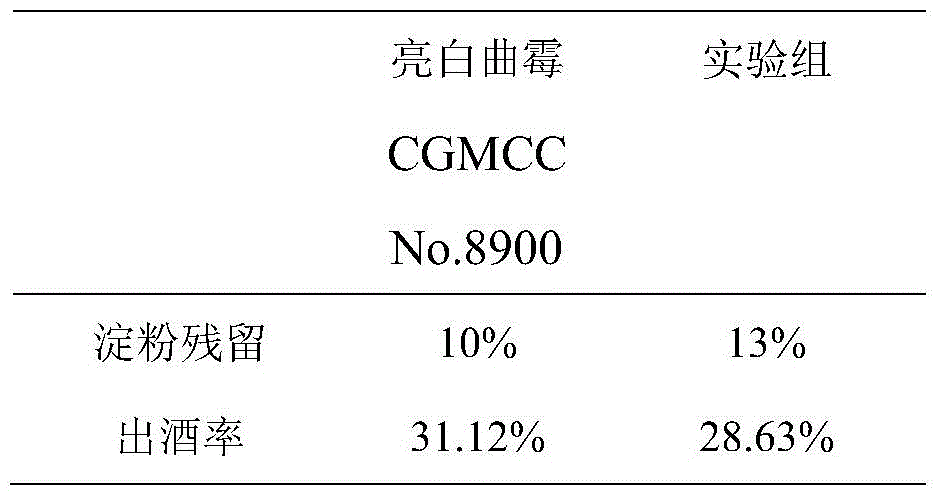 A kind of Aspergillus leucopus with high yield of glucoamylase, α-amylase and acid protease and its application