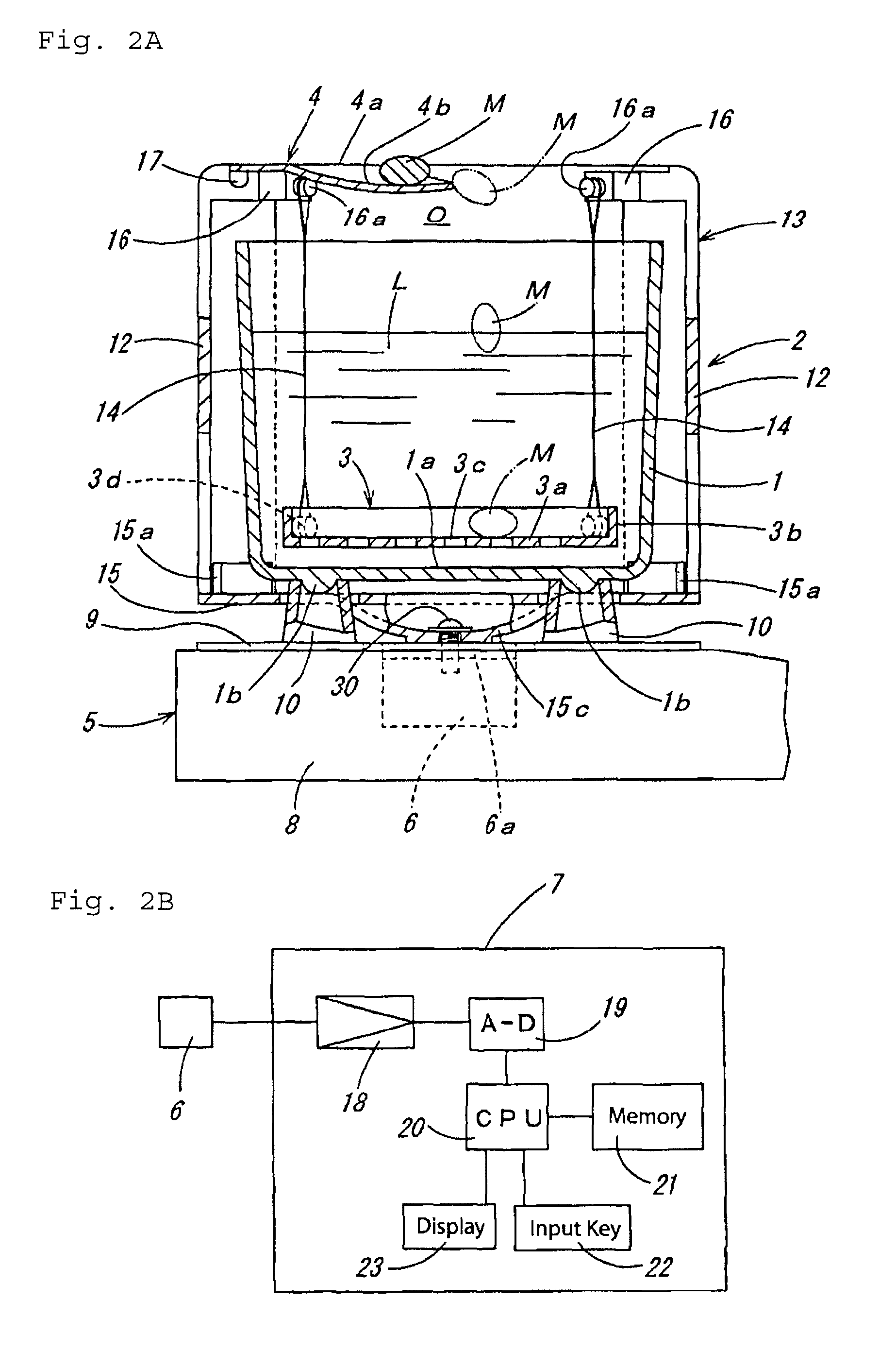 Specific gravity measuring apparatus