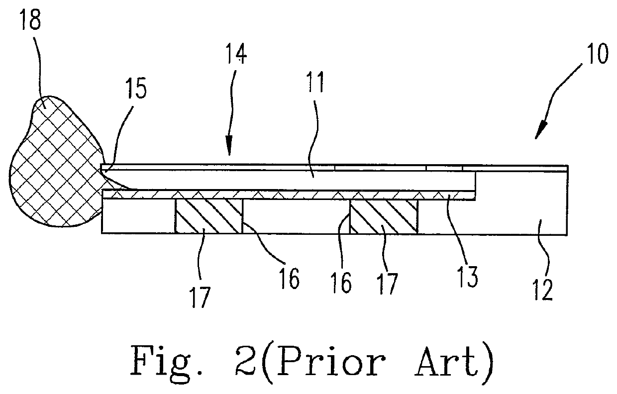 Biosensor strip