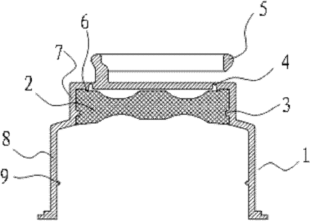 Plastic bottle cap of infusion bottle