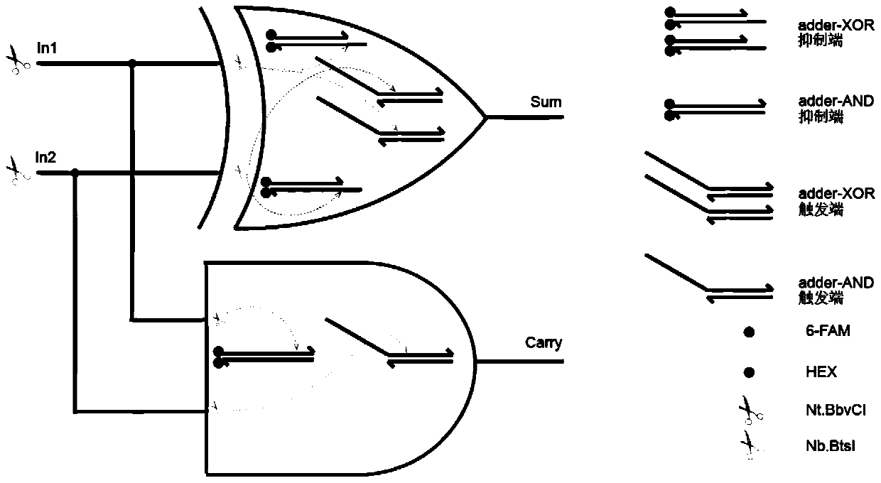 A method for constructing a molecular semi-adder and a semi-subtracter