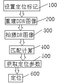 Non-invasive in-vitro tumor positioning system and method by fixing mark points