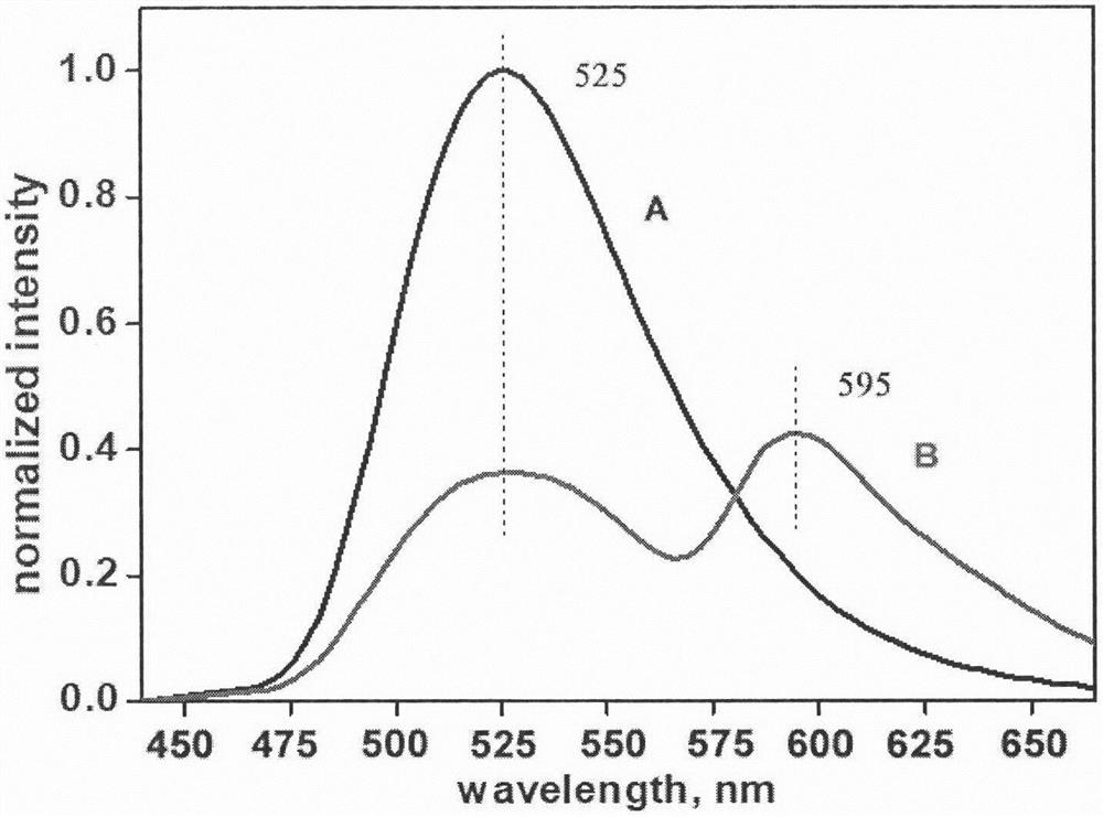 Method for detecting interaction of antigen and antibody by using FRET (Fluorescence Resonance Energy Transfer) technology