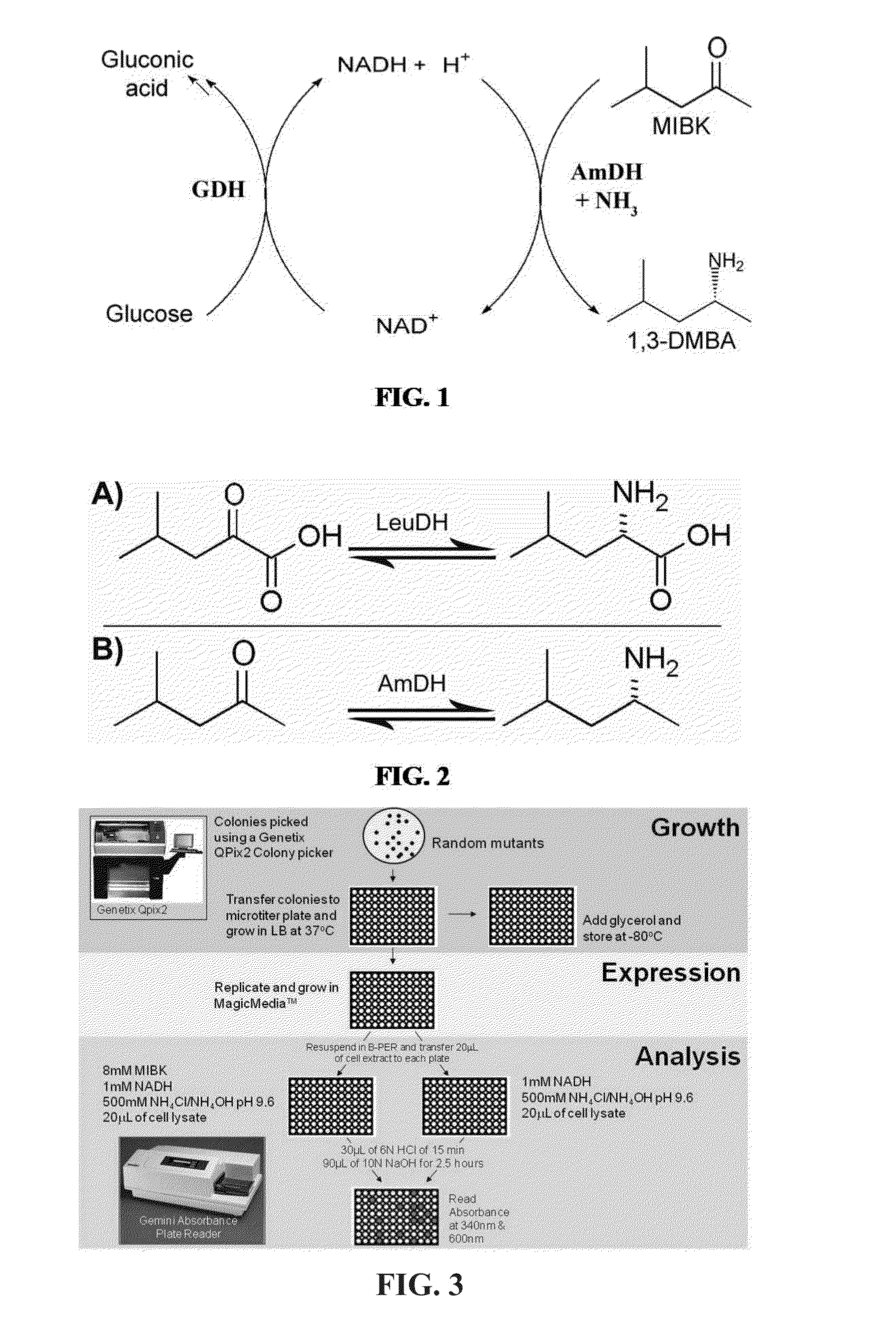 Engineered amine dehydrogenases and methods of use thereof